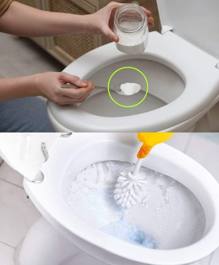 Use salt in the toilet: Grandma’s foolproof trick!