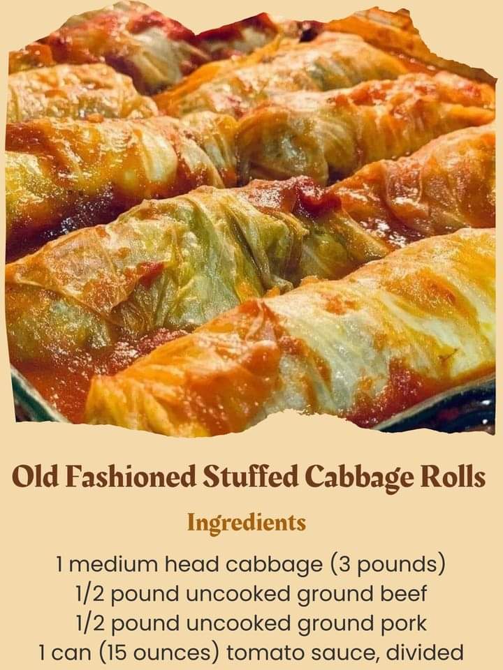 Old Fashioned stuffed cabbage rolls