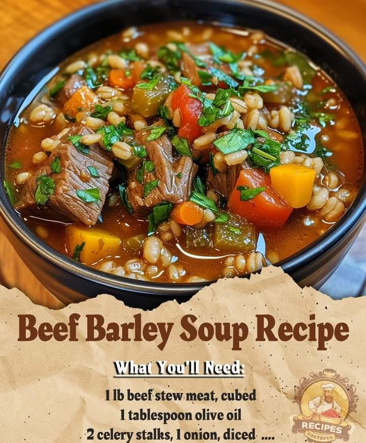 Beef Barley Soup Recipe